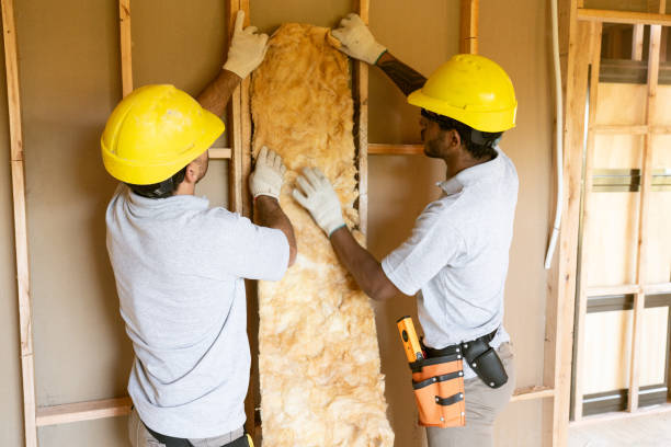 Best Insulation Removal  in Hopwood, PA