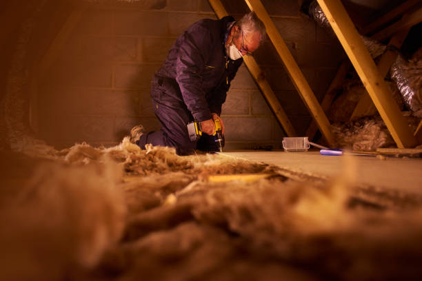 Best Cellulose Insulation  in Hopwood, PA